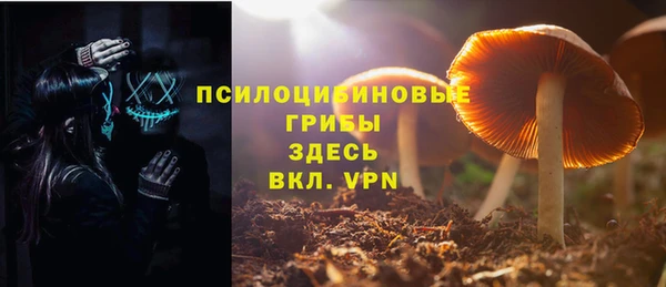 мескалин Алексин