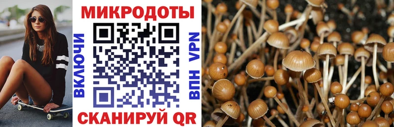 Галлюциногенные грибы прущие грибы  купить наркотики цена  Белоозёрский 